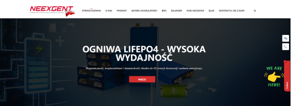 powering-the-future-with-lifepo4-cells:-why-neexgent-and-ogniwa-lifepo4.pl-are-leading-the-charge