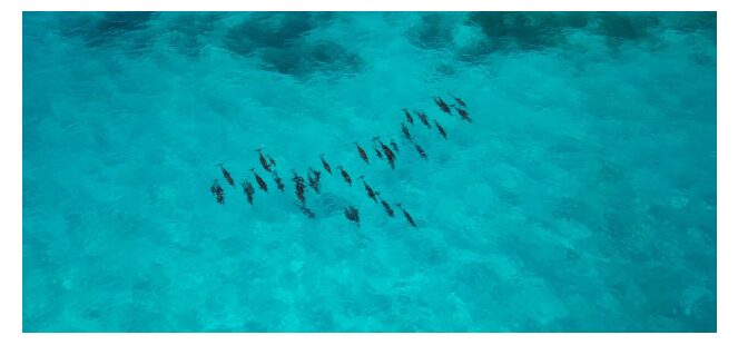 why-maldives’-elite-travelers-swear-by-private-concierge-services