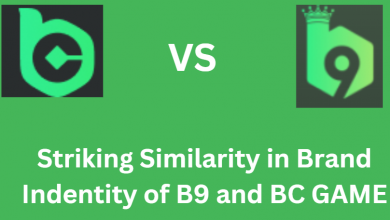 fake-interface,-real-losses:-how-b9.game-deceives-its-users